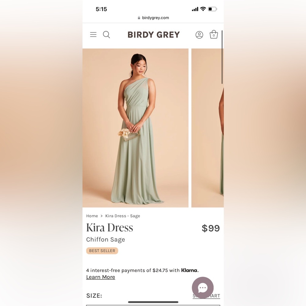 Birdy Grey Kira Dress - Chiffon Sage